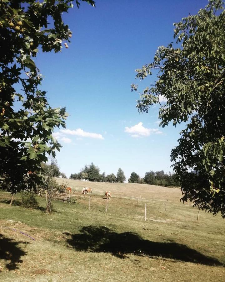 Monte Termine Country House Rioveggio Exterior photo
